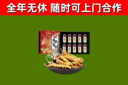 卧龙回收冬虫夏草价格