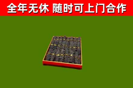 卧龙烟酒回收海参.jpg